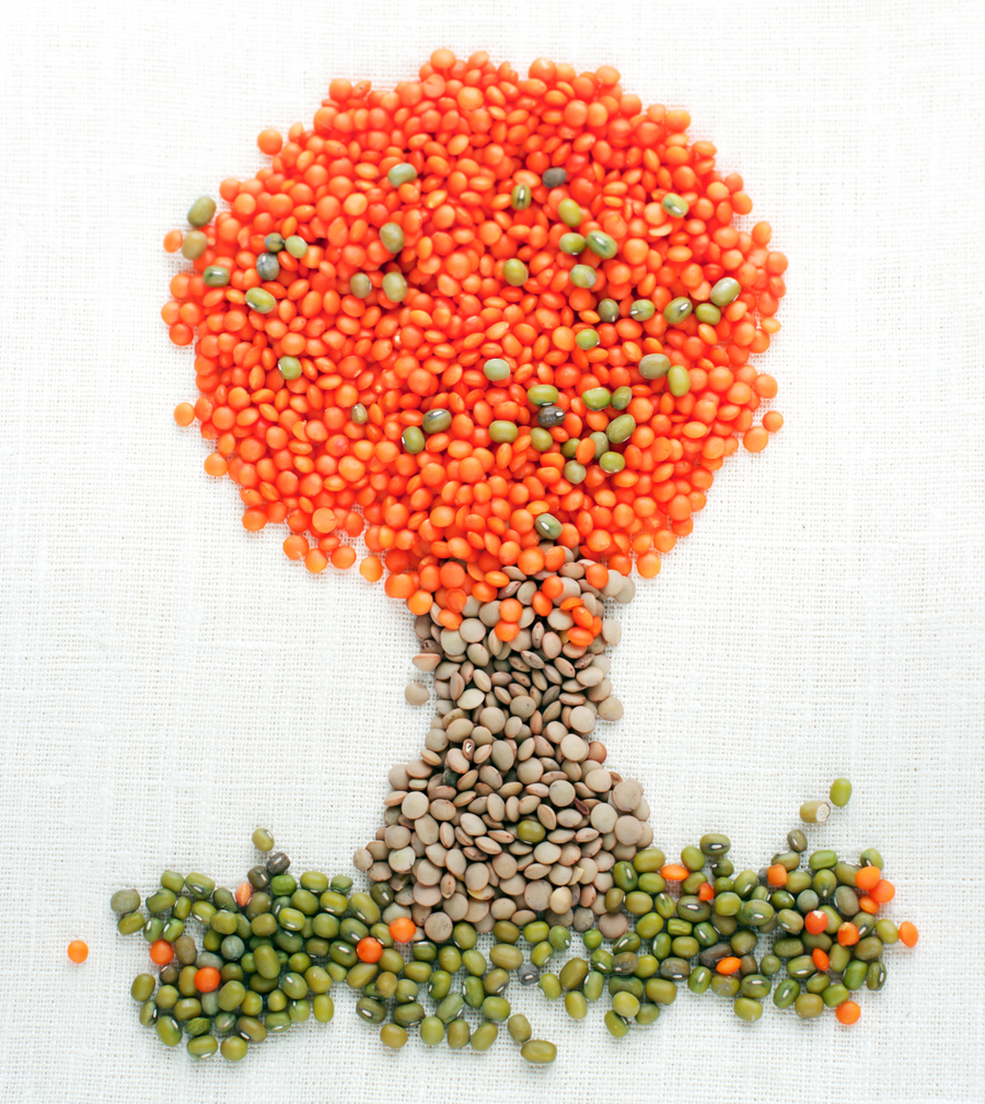 Bean Mosaics IGA Family Program