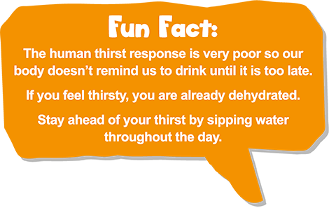 Fun Fact - Water
