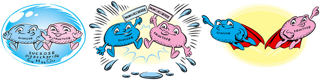 Sucrose, Glucose & Fructose molecules